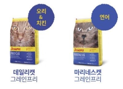 요세라캣