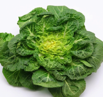 풍부한 식이섬유를 함유한 봄동의 효능