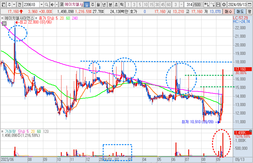 에이치엘사이언스 일봉 차트 분석