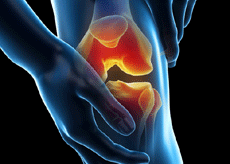 호관원 프리미엄 가격&amp;#44; 효능&amp;#44; 부작용&amp;#44; 후기&amp;#44; 파는곳