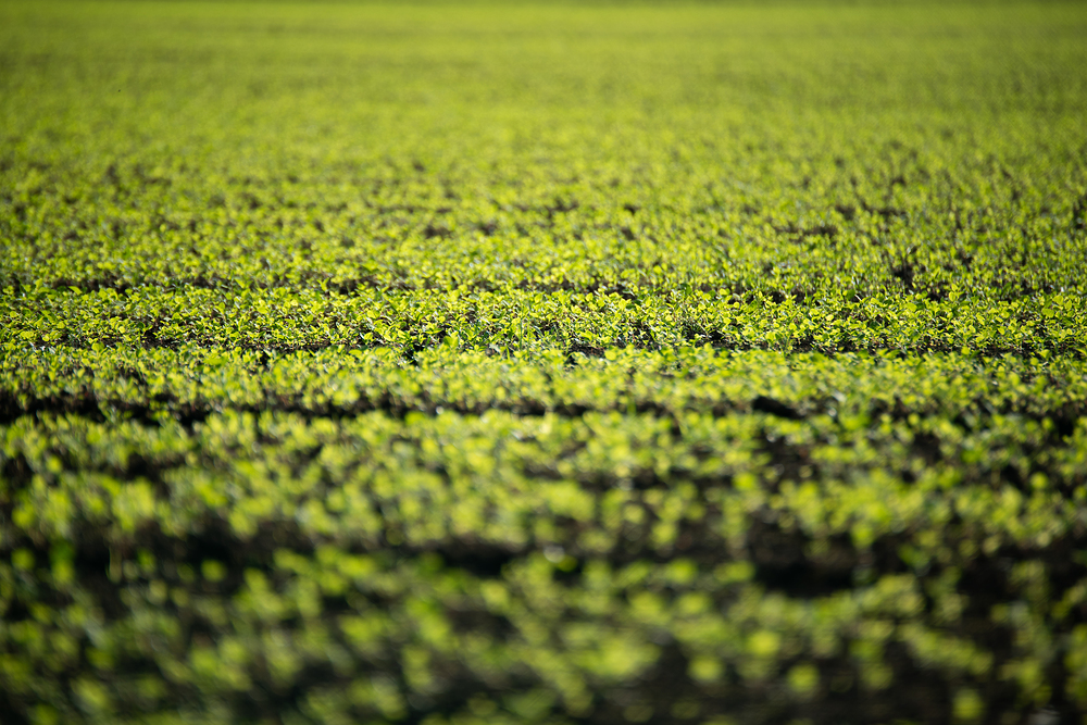 농지 임대차 계약서 작성 시 유의사항