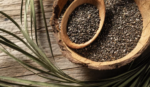 ① 치아씨(Chia Seeds)