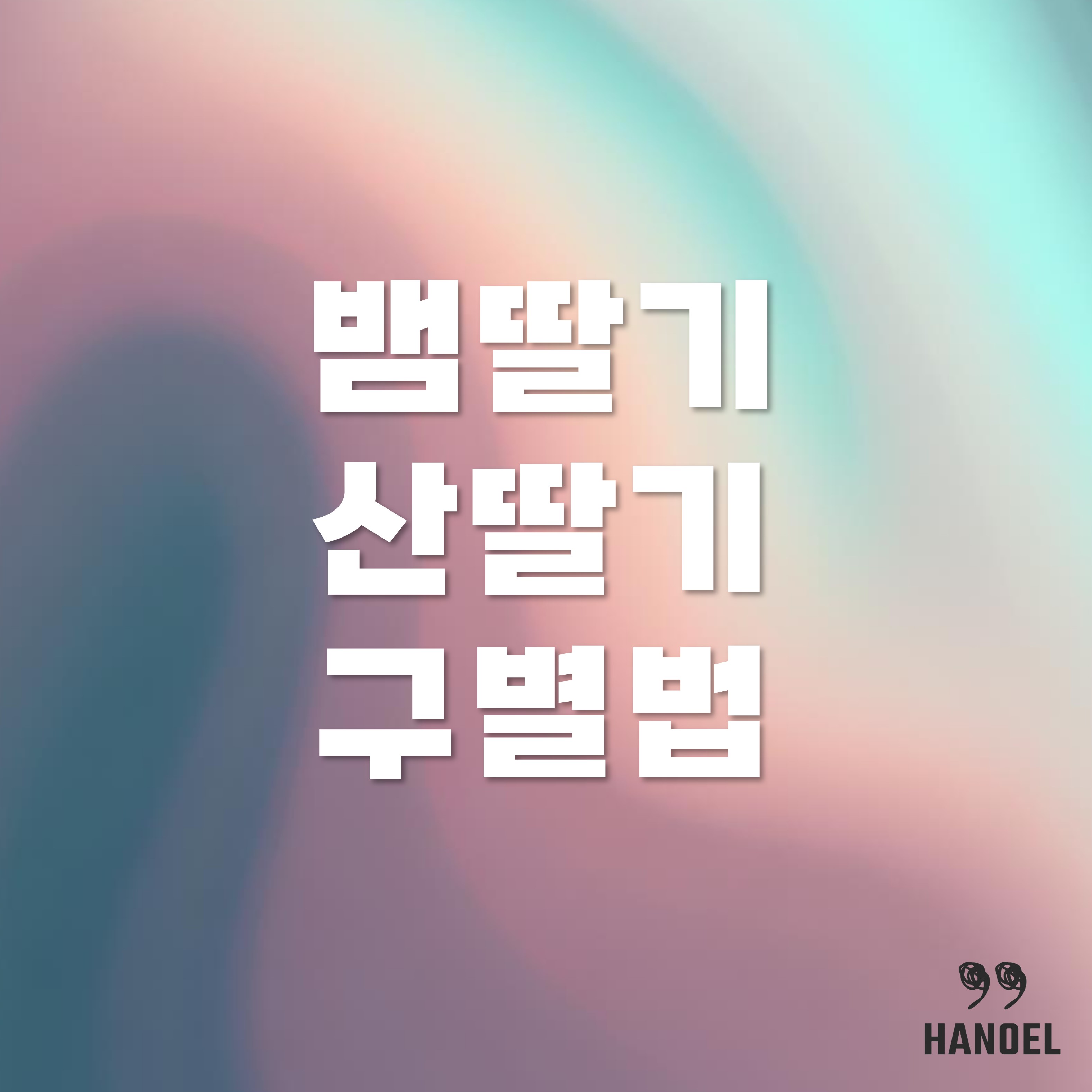 산딸기와 뱀딸기 구분하는 법과 효능