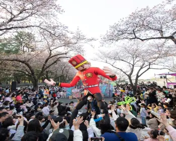 경주벚꽃축제_3