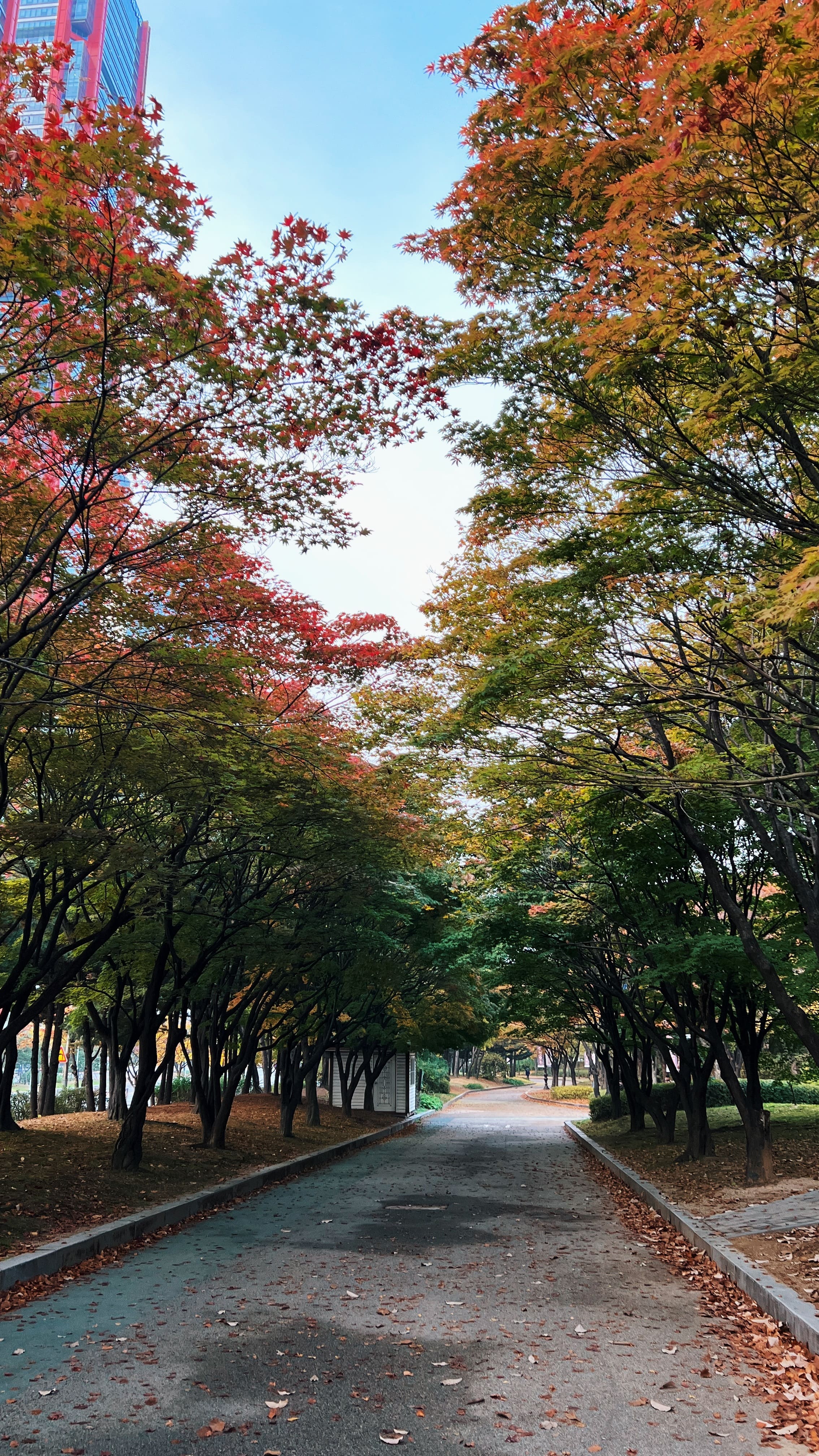 여의도 한강공원 