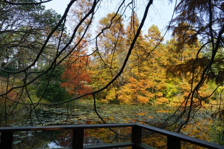 충남 단풍명소 TOP5 + 숨겨진 가을 여행지 3곳 관련 사진