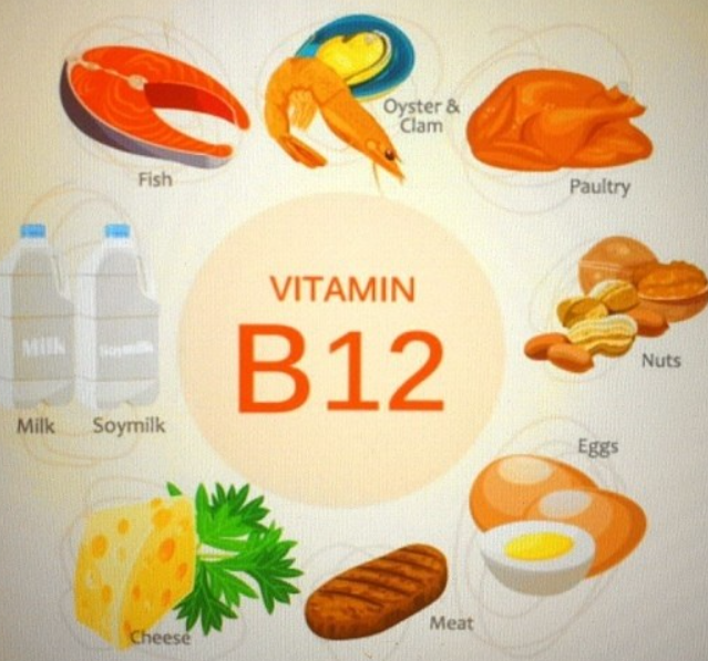 비타민 B12