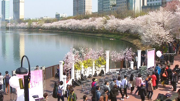 3월 국내 여행지 추천