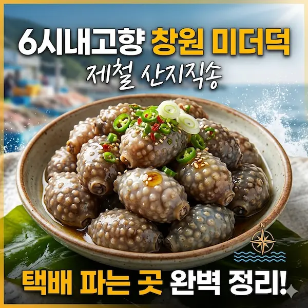 6시내고향 창원 미더덕