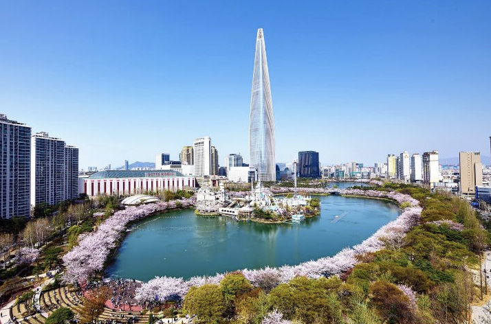 서울 석촌호수 벚꽃