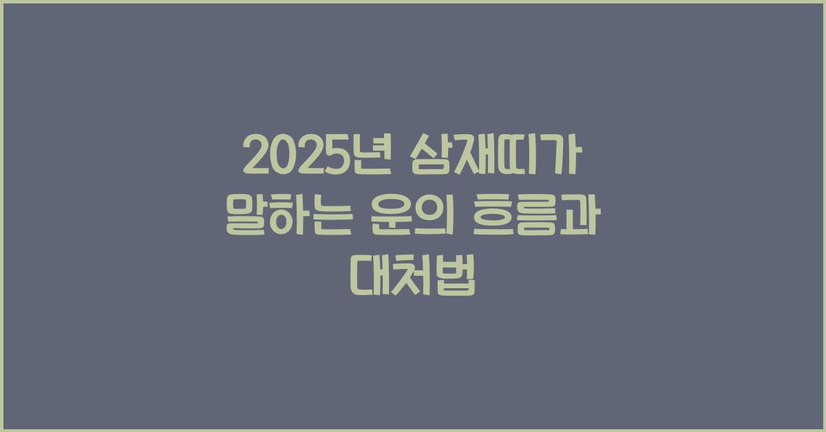 2025년 삼재띠