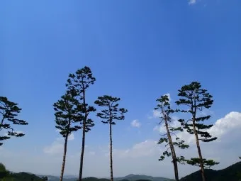 하늘 상태 구름 양 태양 광량 실내 채광 조절_4