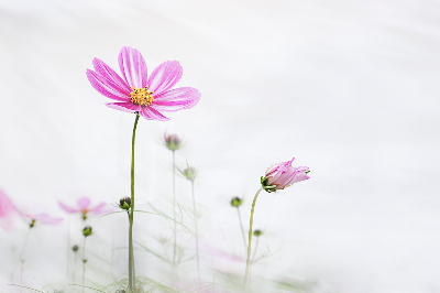 생활 속 온도계에 숨겨진 과학 비밀