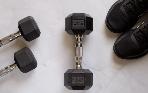 인바디 해석 초보자 가이드:객관적으로 파악하는 3단계