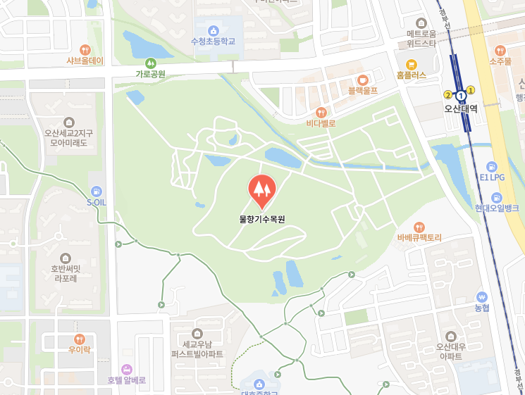 오산 물향기수목원 봄 나들이 후기, 걷기만 해도 힐링되는 수도권 수목원