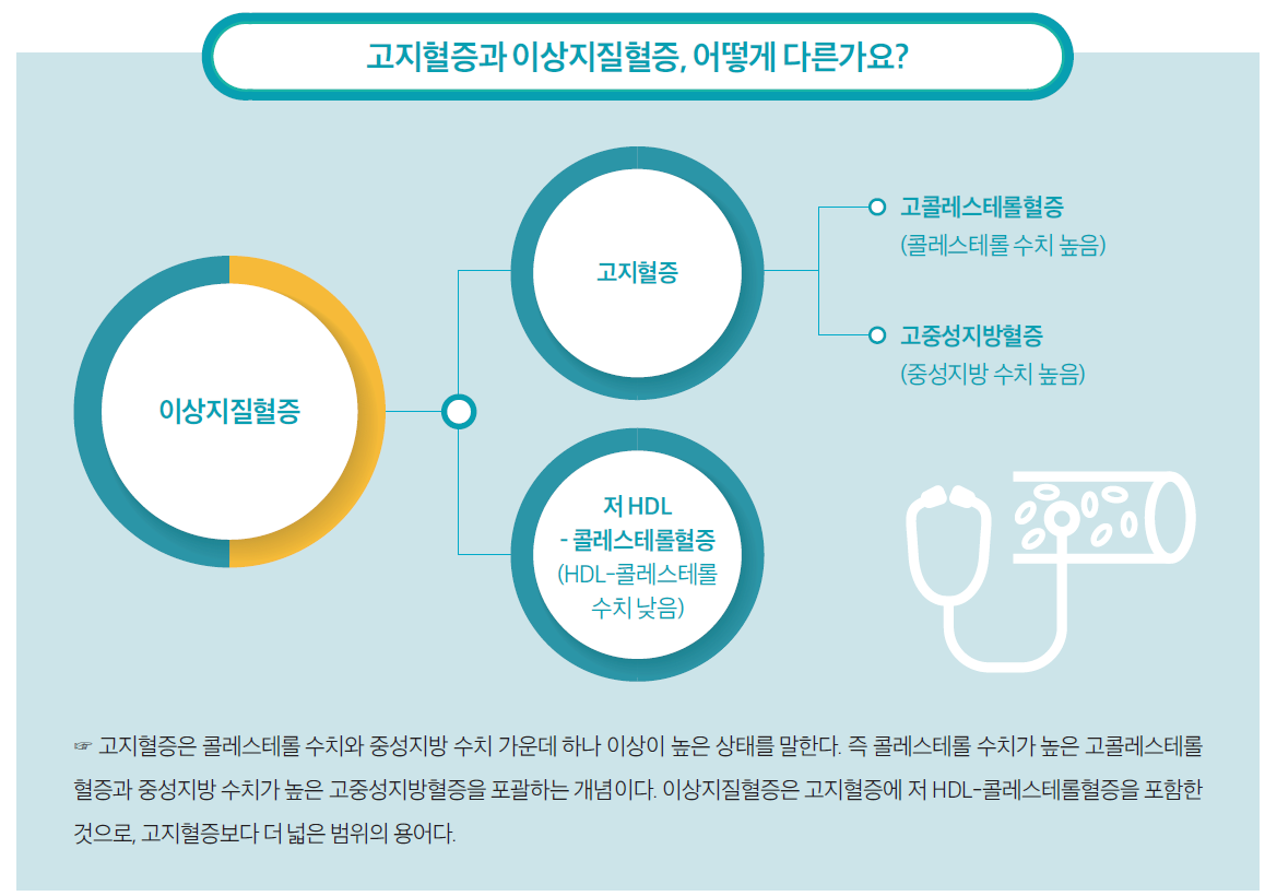 고지혈증과 이상지질혈증 차이