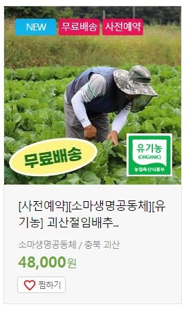 절임배추 20kg 추천