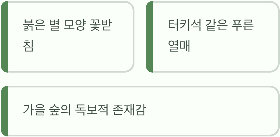 보석보다 아름다운 '열매'의 향연