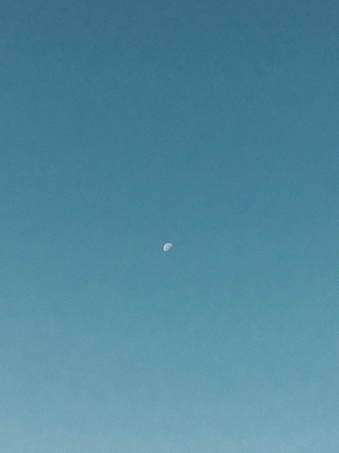 청와대 관람 미당첨 시 대처 방법 관련 이미지 1