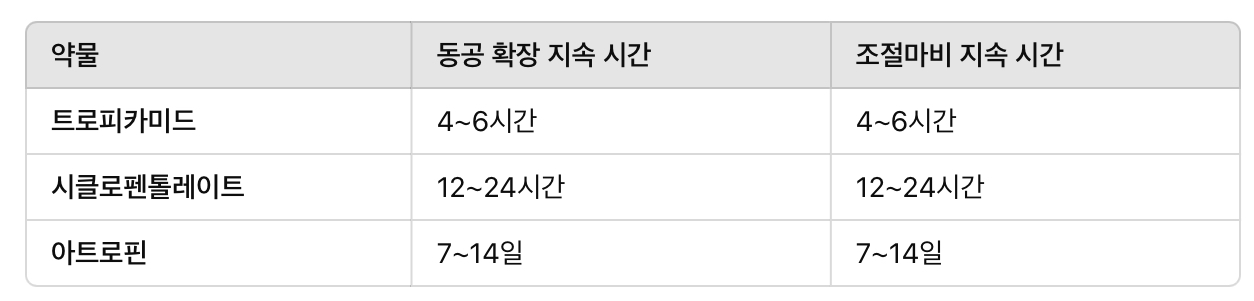 미드리아틱스(산동제) 사용법 및 지속 시간