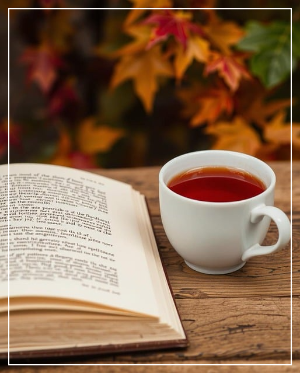 화담숲 예매 예약 입장료 홈페이지 화담채 모노레일 총정리