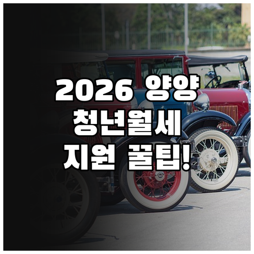 2026 양양군 청년월세 지원 신청 ..