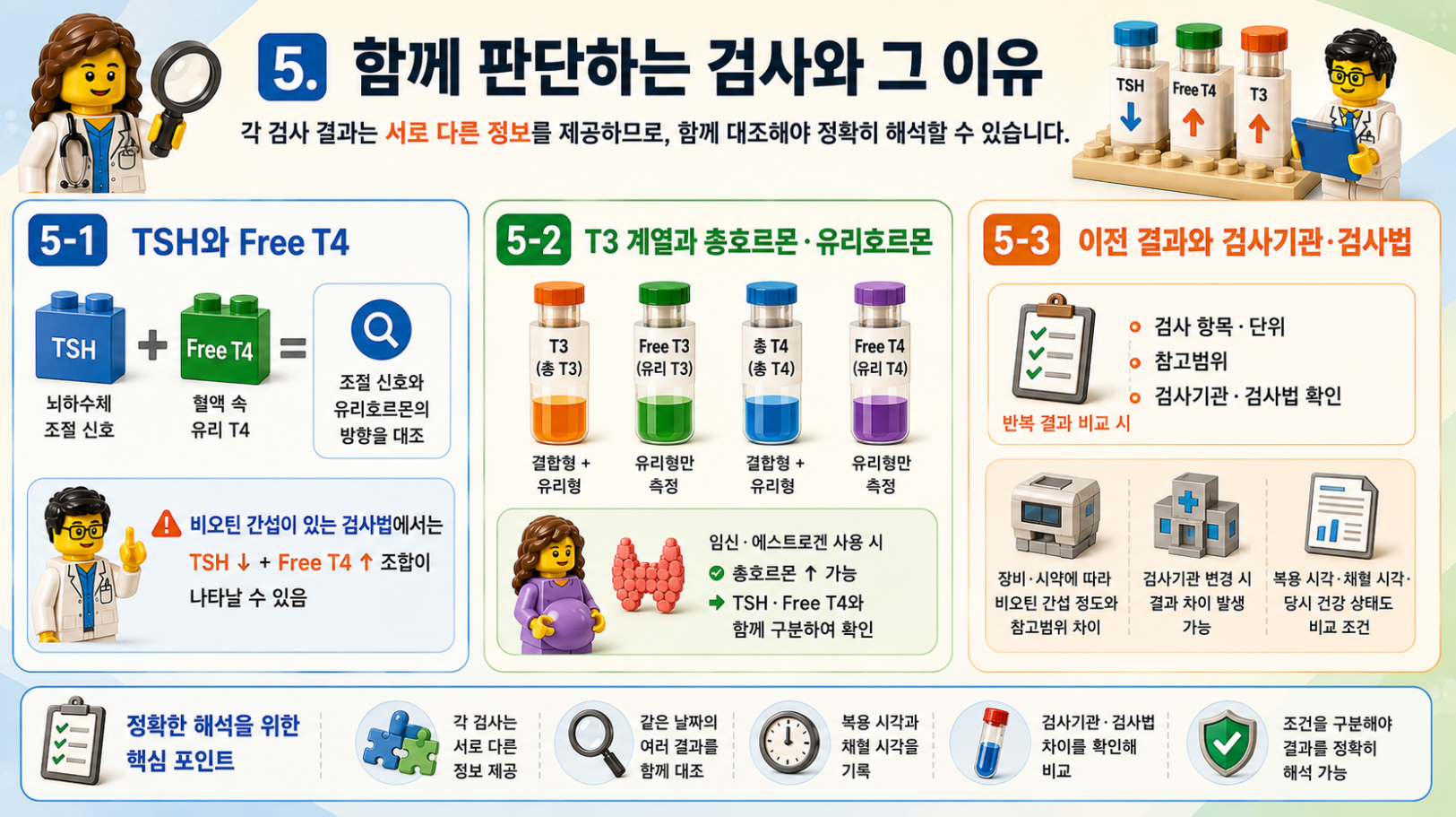 TSH·Free T4·T3와 함께 확인하는 관련 검사 및 검사기관 비교 방법을 설명하는 레고 스타일 메디컬 인포그래픽