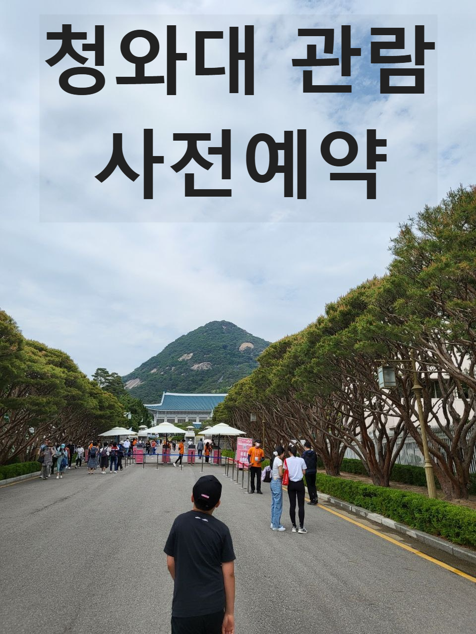 청와대 관람 사전예약