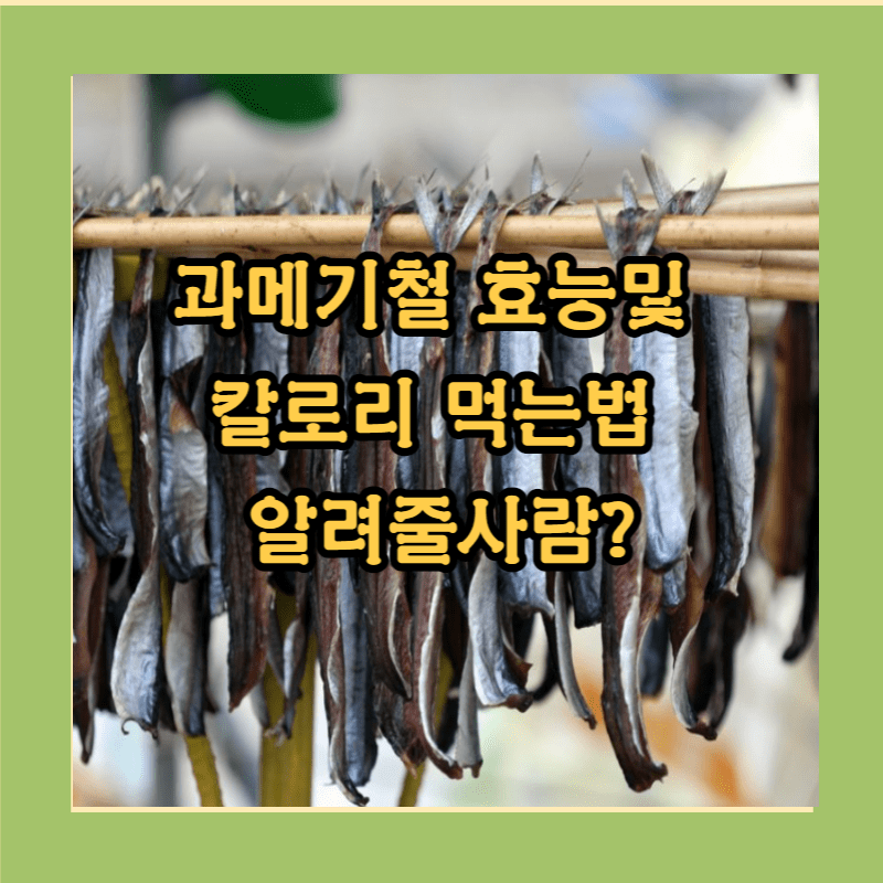 과메기 칼로리