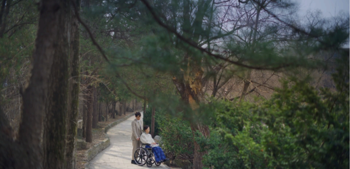 [서울 근교 여행지] 경기도 파주❘벽초지수목원❘드라마 촬영지(빈센조, 구미호뎐, 고백부부, 나의 해방일지)