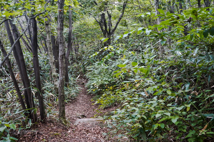 한국 명산 전남 해남 두륜산 등산 mountain hiking