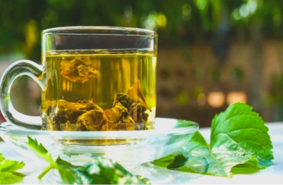 테이블 위에 야생에서 채취를 한 뽕나무의 잎인 상엽을 깨끗하게 세척을 한 후에 뜨거운 물에 넣어 우려내서 투명한 찻잔에 담아두고 그 옆에는 뽕나무 잎을 여러 개 놓아두고 찍은 사진