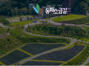 동해 가볼만한곳