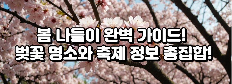 봄 나들이 완벽 가이드! 벚꽃 명소와 축제 정보 총집합!