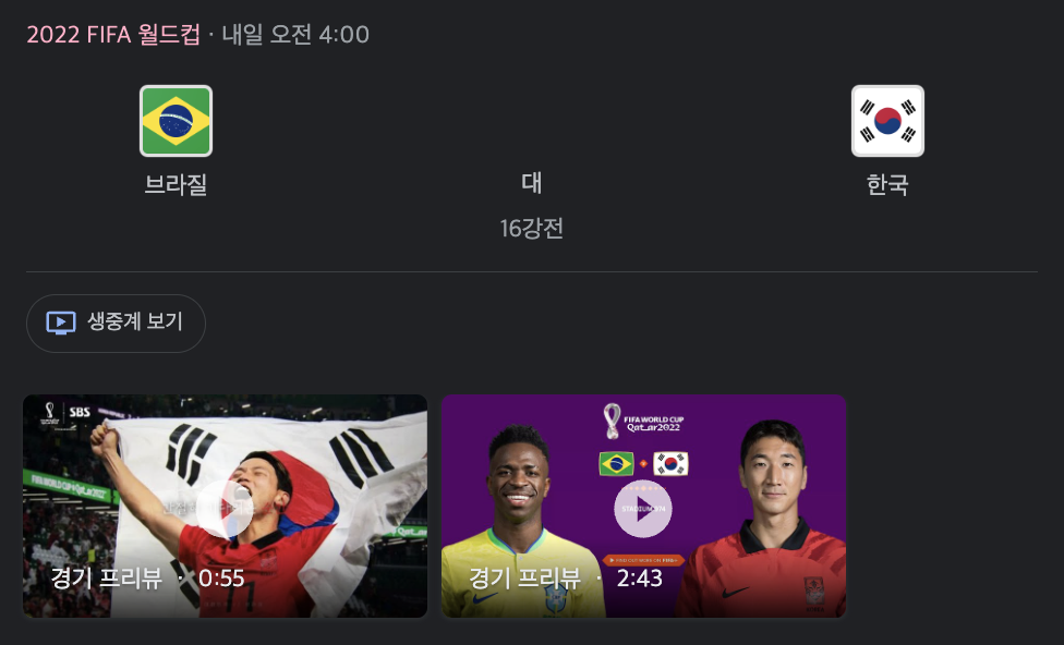 한국브라질16강