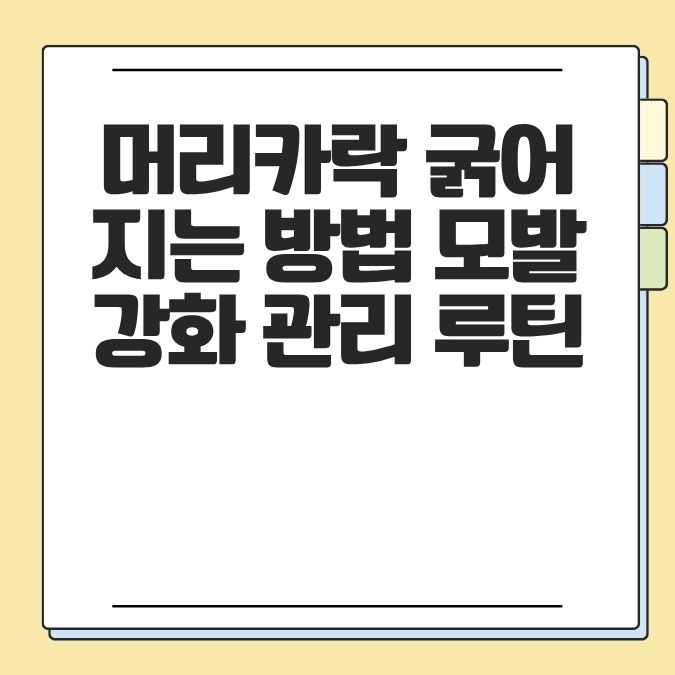 머리카락 굵어지는 방법 모발 강화 관리 루틴