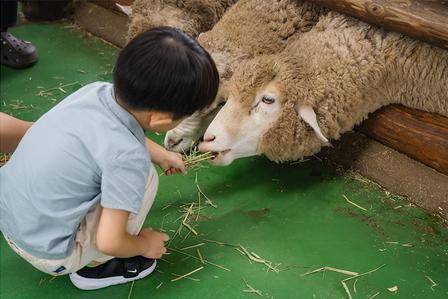 한적한 어린이날 나들이 장소&amp;#44; 이런 분들에게 추천합니다 