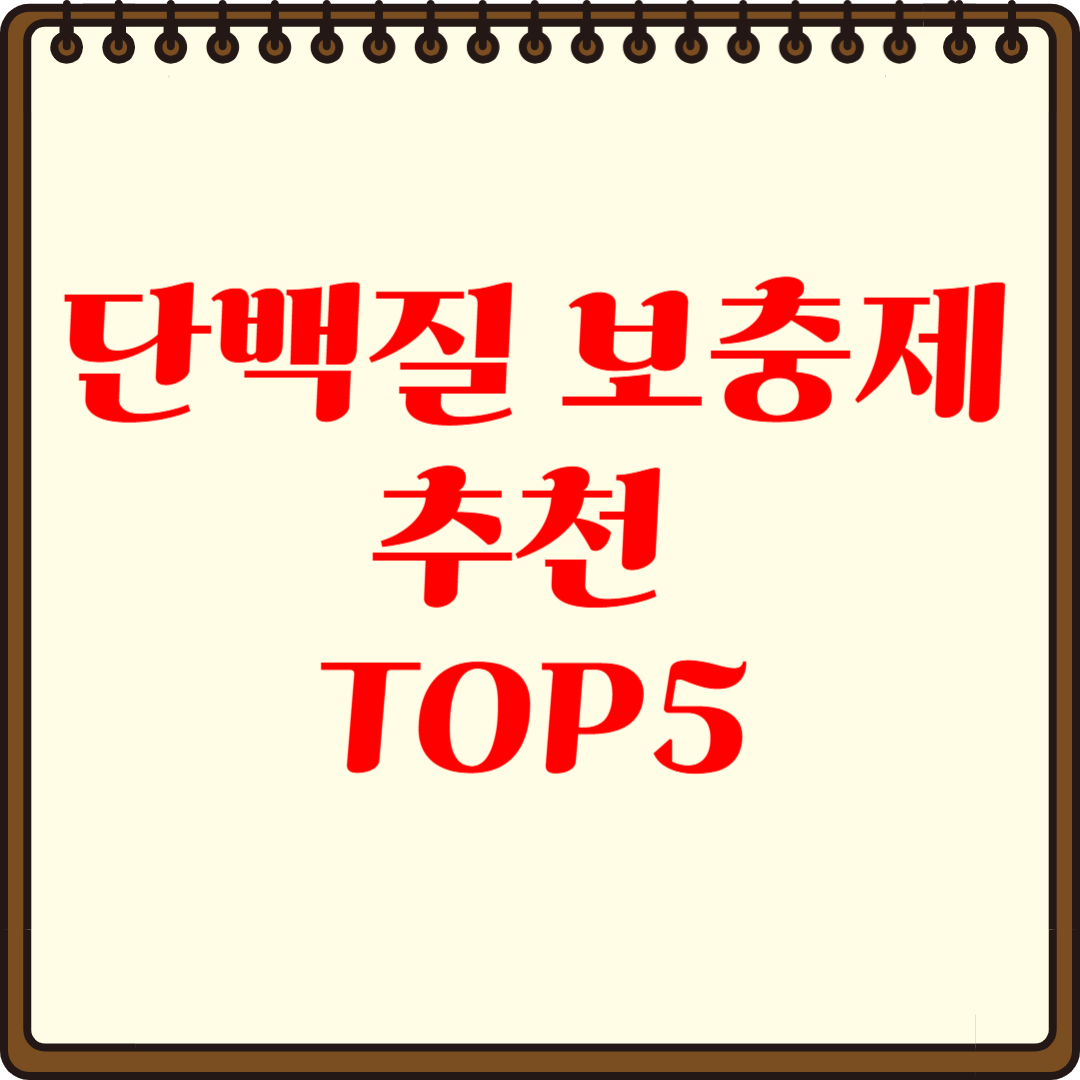 단백질 보충제 추천 TOP5 당신에게 딱 맞는 제품