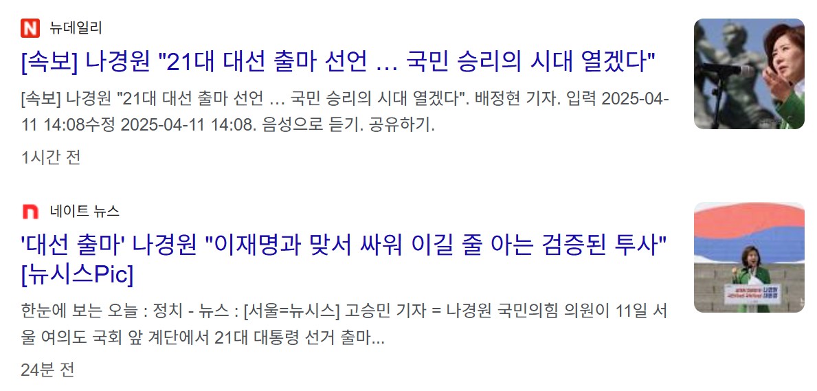 나경원 대선 출마