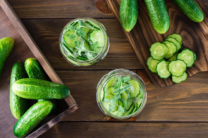 오이종류-백다다기오이,취청오이,가시오이