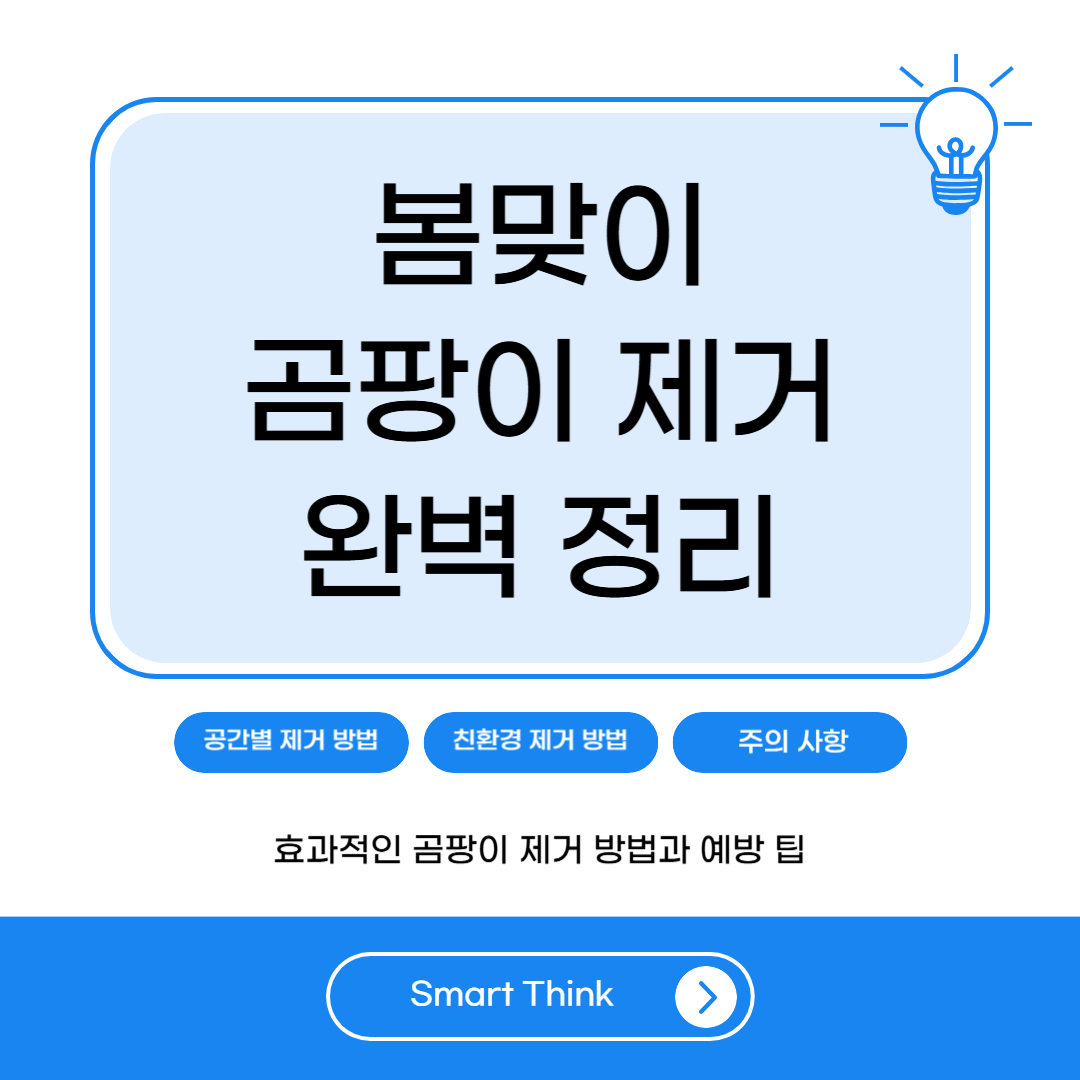 곰팡이 제거방법