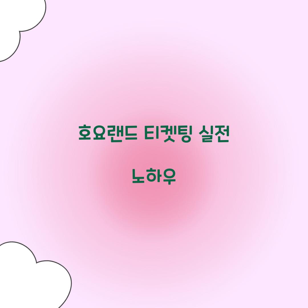 호요랜드 티켓팅