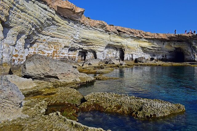 박쥐가 ‘동굴’을 선택하는 이유: 동굴의 생태학으로 보는 서식지 조건