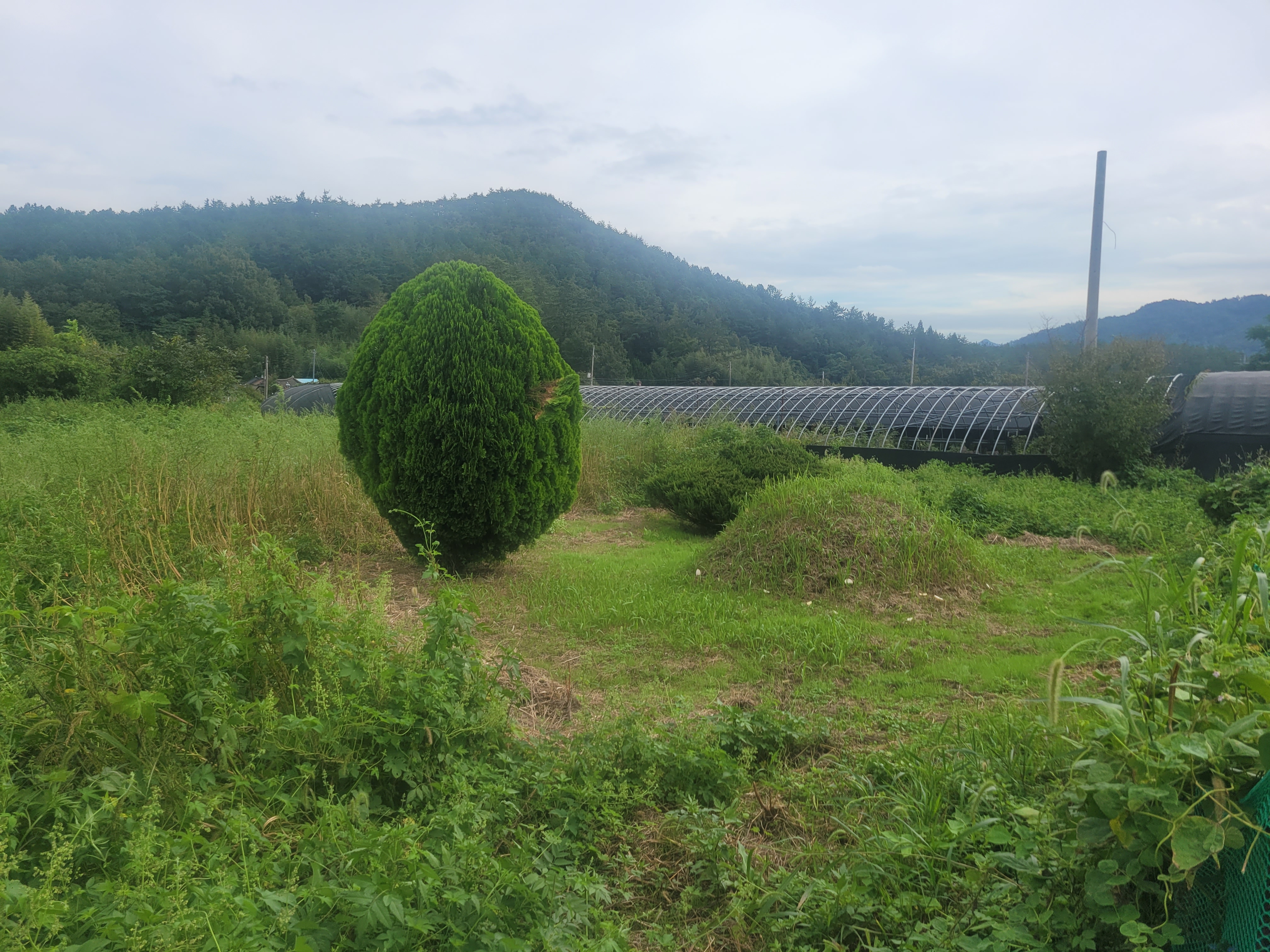 산소개장