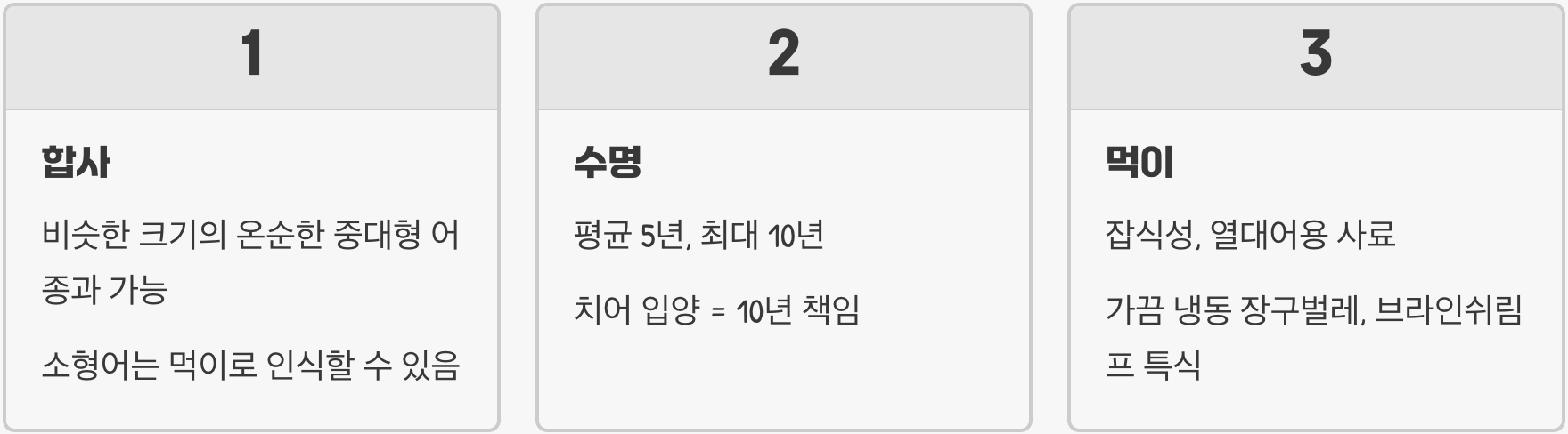 35cm까지 자라는 실버샤크, 키우기 전 꼭 알아야 할 것