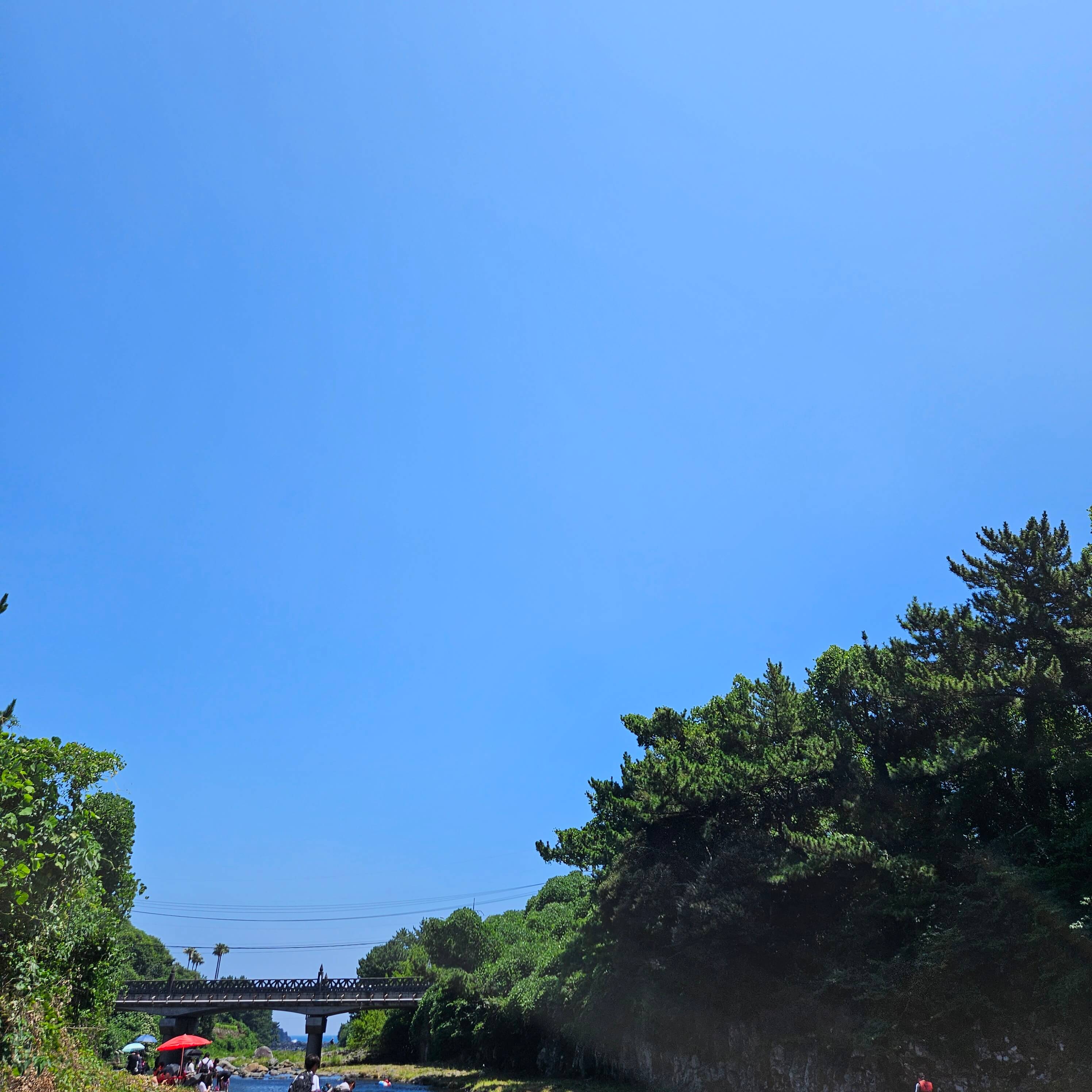 제주에서 바다만? 강정천 스노클링에서 찾은 색다른 즐거움