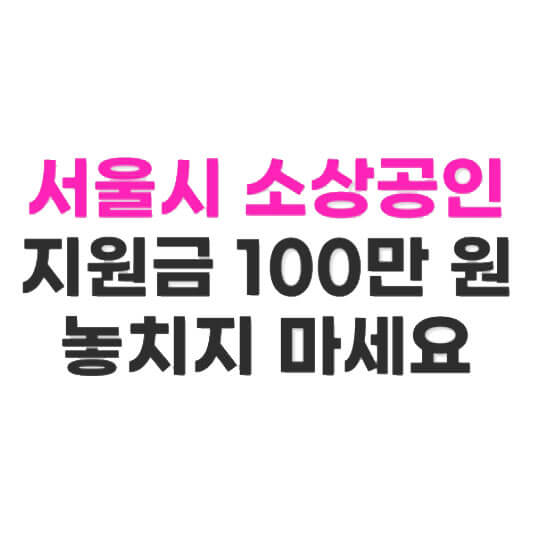 서울시 소상공인 경영위기지원금 100만 원