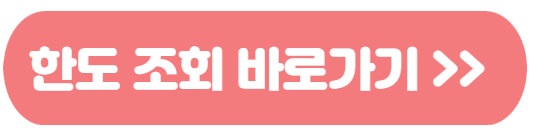 한도조회