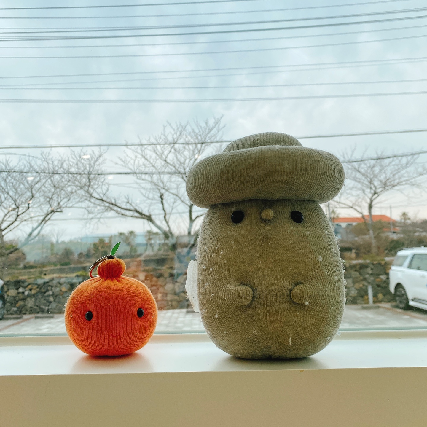 제주 한림공원 명월 디저트맛집 뵤뵤카페