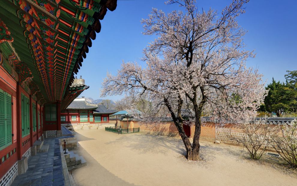 경복궁 야간개장